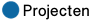 Projectarchief
